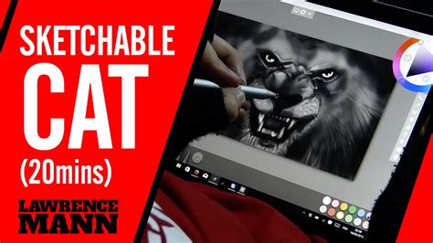 Drawing Sketchable 'Cat' on Surface Pro in 20mins - YouTube