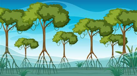 Mangrove Cartoon