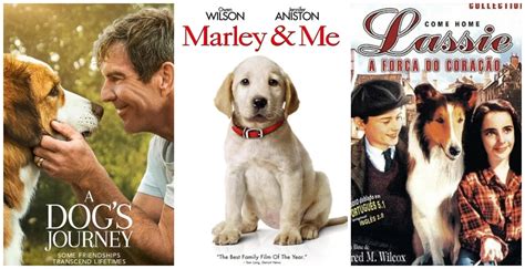 7 Must-See Dog Movies ⋆ Starmometer