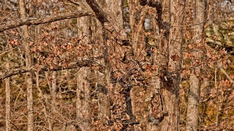 15 Photos of Expertly Hidden Hunters | OutdoorHub