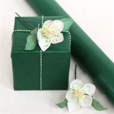 Green Wrapping Paper | Eco-Friendly Kraft Paper Roll | Green wrapping ...