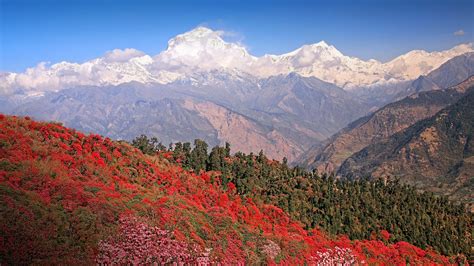 nature, landscape, mountains, snow, snowy mountain, snowy peak, sunset, Himalayas HD Wallpaper