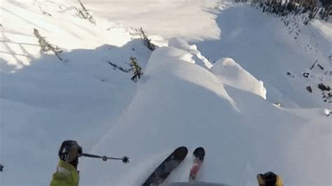 Ski GIF - Find & Share on GIPHY