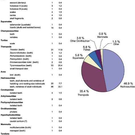 Miscellaneous ornithischian elements from Sites B and C. A,... | Download Scientific Diagram