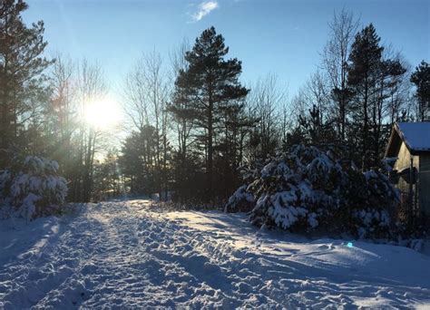 Swedish winter landscape - Go Nature Trip