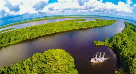 Manaus: Full-Day Tour on the Amazon River | GetYourGuide