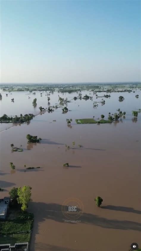 Floods in Punjab 2023 : r/Punjabot