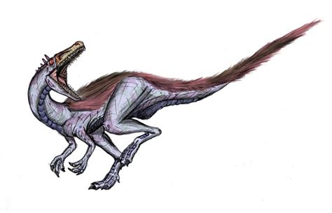 Santanaraptor Pictures & Facts - The Dinosaur Database