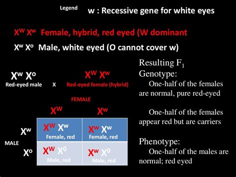 Heredity, inheritance, and variation