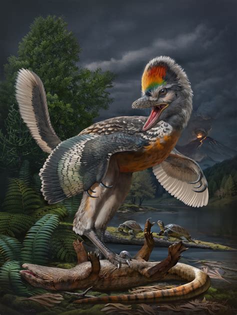 福建首次發現恐龍化石 奇異福建龍填補鳥類起源的部分空白