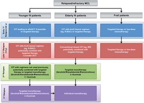 Overview of treatment options in relapsed/refractory MCL based on... | Download Scientific Diagram