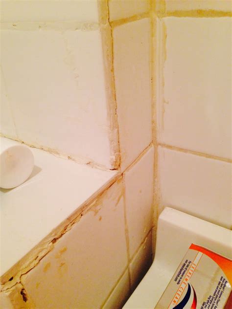 repair - Can I re-grout if there is possibility of mold/mildew behind shower? - Home Improvement ...