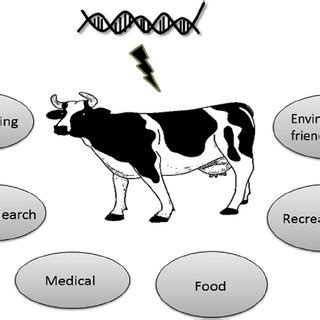 Top 109+ Gmo animals and plants examples - Merkantilaklubben.org