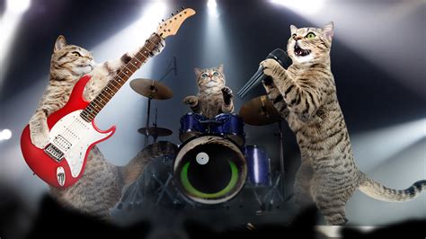 Cat Quiz: Which Songs Are These Cats Singing? | Cats | Singing on Beano.com