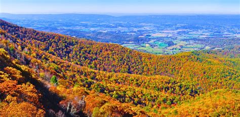 Fall in Shenandoah Valley, Virginia: 10 Places to See Fall Foliage