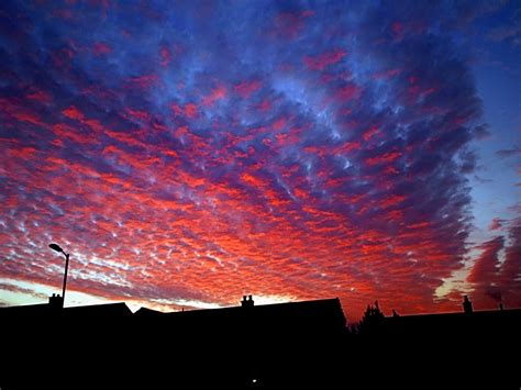 Stratocumulus Floccus at sunset - Cloud images - Netweather Community Forums