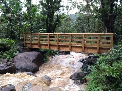 Diverse, Resilient and Unique: El Yunque National Forest - National ...