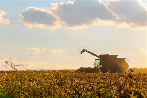 Corn Harvesting Machine in Action Stock Photo - Image of cultivation, cloudscape: 35059286