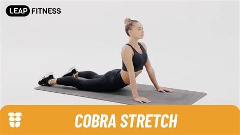 How to Do: COBRA STRETCH - YouTube