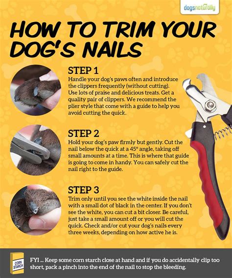 A Stress-Free Way For Trimming Your Dog’s Toenails - Dogs Naturally