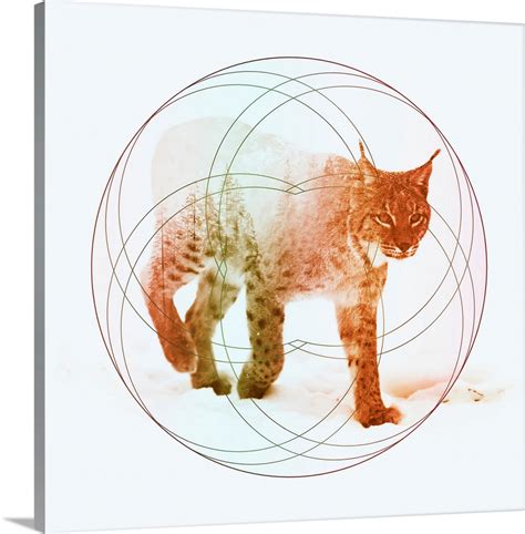 Double Exposure Wildlife Art - Lynx Wall Art, Canvas Prints, Framed ...