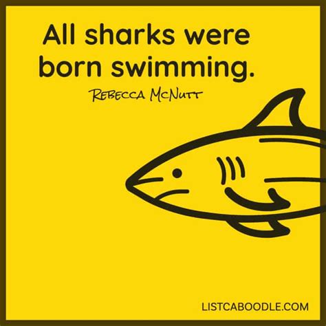 135 Shark Quotes, Captions (They're Jaws-ome!) | ListCaboodle