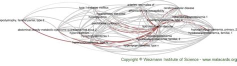 Lipid Metabolism Disorder disease: Malacards - Research Articles, Drugs, Genes, Clinical Trials