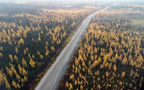 Road in the forest, view from above, autumn, forest road, yellow trees, autumn landscape HD ...