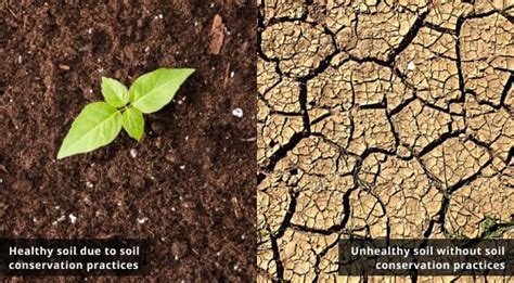 Soil Conservation Methods For Maintaining Farmlands' Fertility