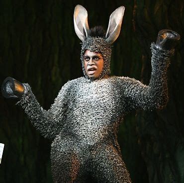 Theatre Costumes, Cool Costumes, Costume Ideas, Shrek Donkey Costume, Fiona Shrek, Musical ...