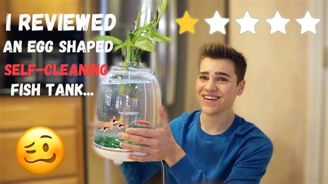 THIS AQUARIUM CLEANS ITSELF? *Self-Cleaning Fish Tank Set-up AND Review* - YouTube