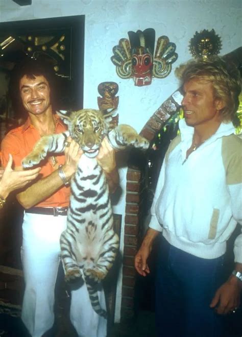 Siegfried Tiger Attack