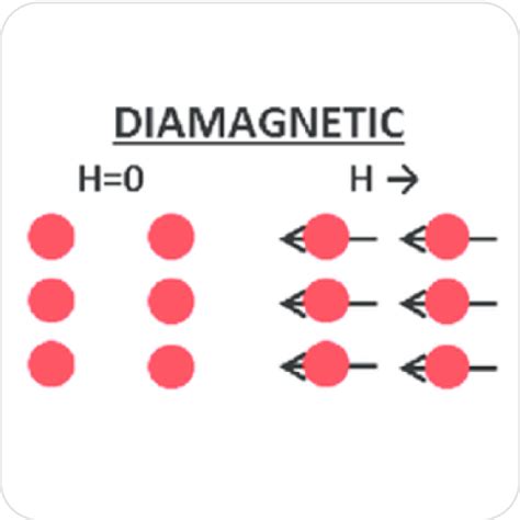 Magnetic Susceptibility Explained | Understanding Its Significance