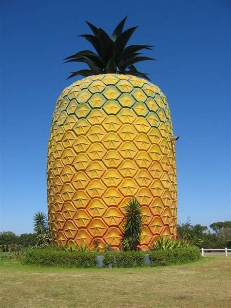 Real life pineapple house | Casas inusuales, Casas extravagantes, Piña