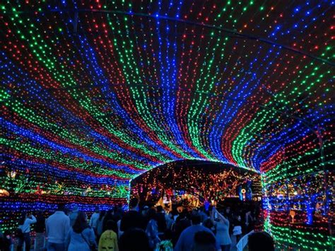 AUSTIN TRAIL OF LIGHTS - 393 Photos & 230 Reviews - Festivals - 2100 ...