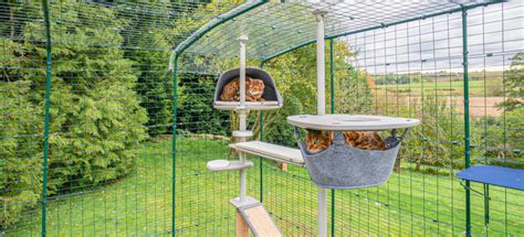 Catios & Outdoor Cat Enclosures | Omlet