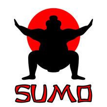 Sumo Wrestler Free Stock Photo - Public Domain Pictures