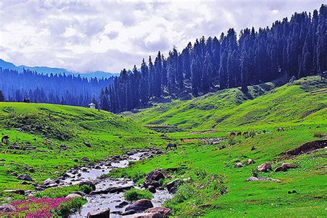 The Best Time to Visit Gulmarg - Trans India Travels