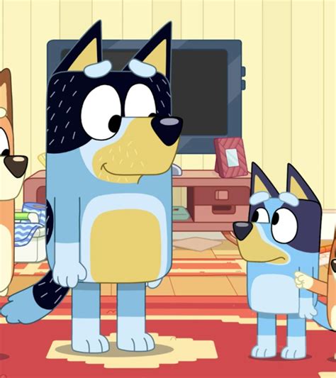 'Bluey' Season 4: More Episodes Are Coming