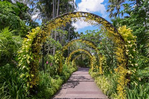 The World’s Best Orchid Gardens in the Tropics - Tropical House & Garden