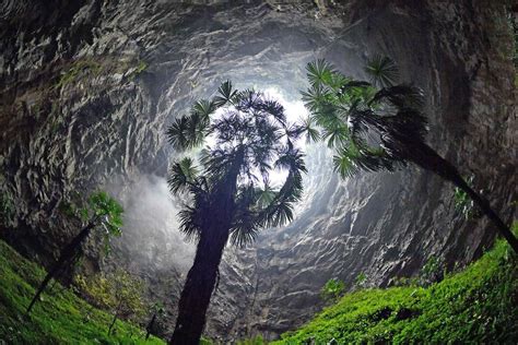 Giant Sinkhole in China Reveals Massive Ancient Forest