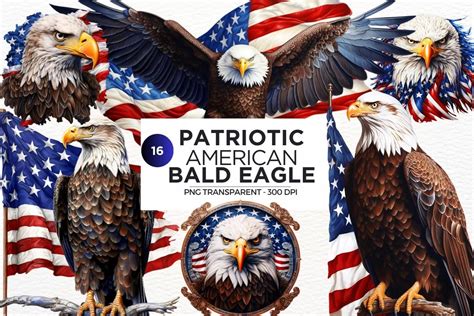 Patriotic Bald Eagle Clipart PNG Bundle - American Pride PNG