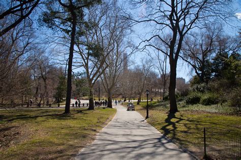 Central Park, NYC Free Stock Photo - Public Domain Pictures
