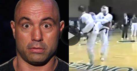 Watch Joe Rogan KO Opponent In Taekwondo Fight - MMA Imports