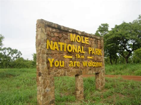 6 Things You Don't Know About Mole National Park - Frimprince Transport Services Ltd.