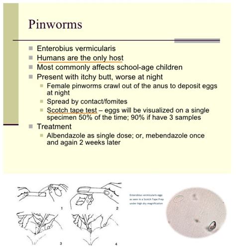 Pin on Clinical Lab Procedures