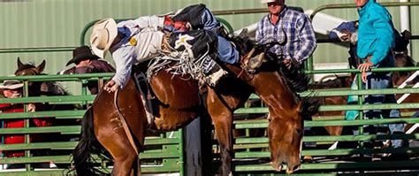 Thermopolis Cowboy Rendezvous PRCA Rodeo Contestant Information - Thermopolis Wyoming PRCA Rodeo ...