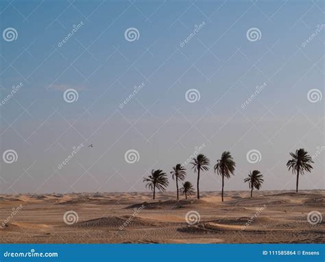 Douz-Tunisia, Sahara Desert in Southern Tunisia, Sand Dunes Stock Photo ...