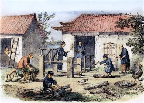 China: Silk Industry, 1857 Photograph by Granger