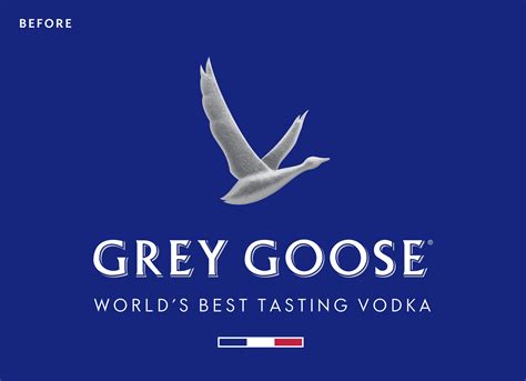 Grey Goose Redesign: 50ml of Minimalism and 1tsp of Flat Graphics – Web ...